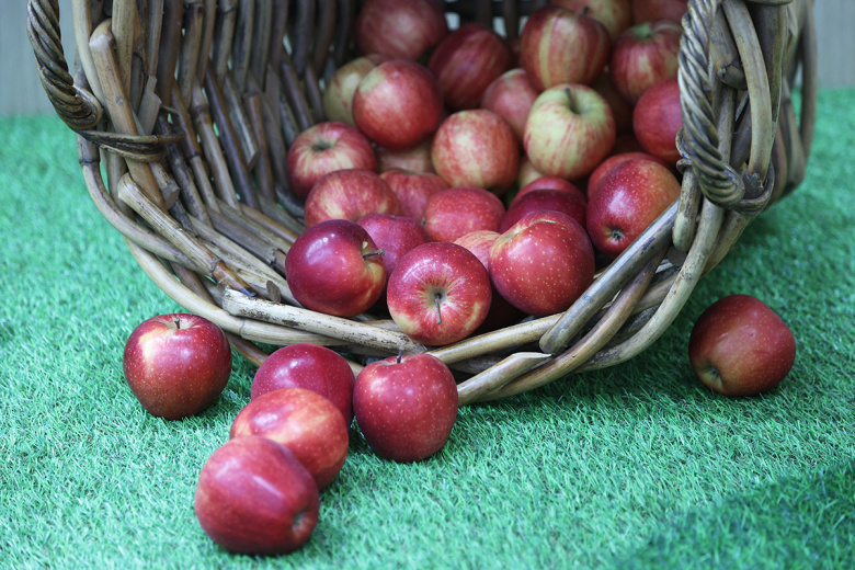 Названы пять продуктов для поддержания энергичности