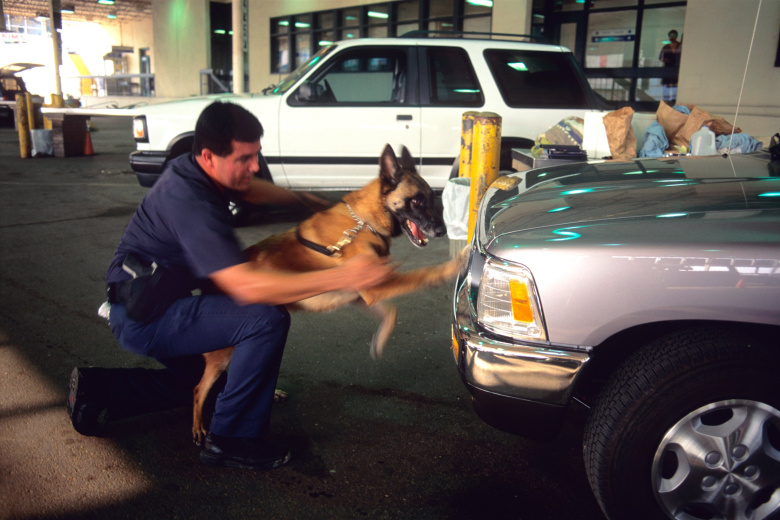 В Мехико в ходе марша были ранены 100 полицейских