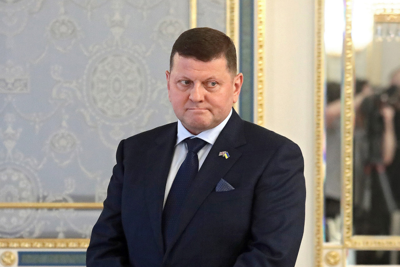 «Виртуальный характер»: американист о политическом будущем Залужного