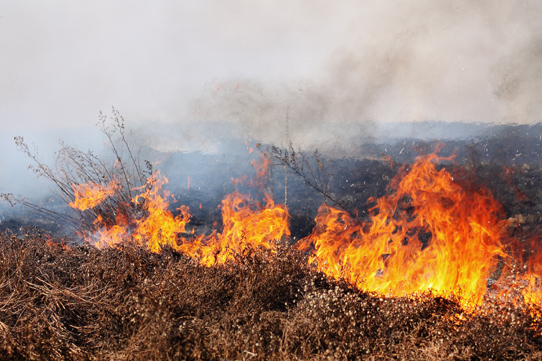 Необитаемый остров сгорел в Финляндии